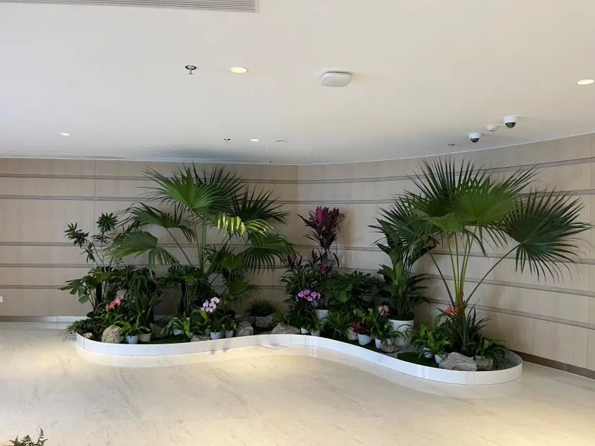 找宁波奉化绿植出租好去处，这家好到爆！